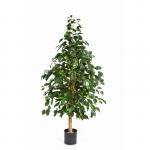 Kunstplant Natural Exotica Ficus 150cm brandvertraagd
